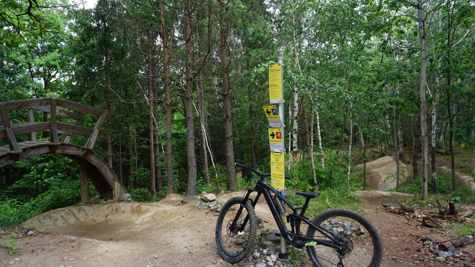 Ein Mountainbike wird bei einem Wegweiser mit Informationen über die Strecke in einem Waldgebiet geparkt, direkt neben dem Holzsteg des Hofwaldtrails und den malerischen unbefestigten Radwegen.