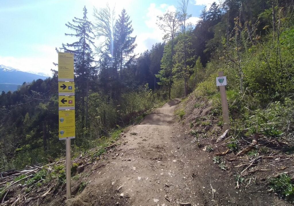 Ein unbefestigter Weg schlängelt sich durch ein bewaldetes Gebiet mit Stadtwaldtrail-Schildern auf beiden Seiten, die bei teilweise bewölktem Himmel Hinweise und Informationen geben.