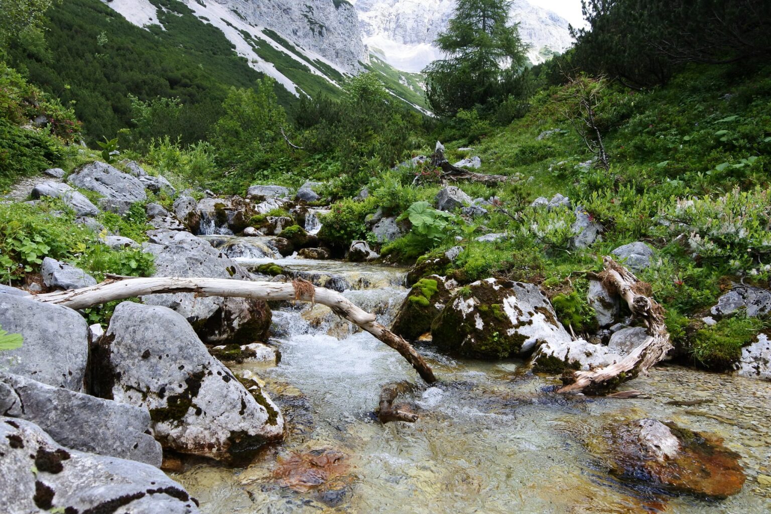 Ein klarer Gebirgsbach fließt über Felsen und unter einem umgestürzten Ast hindurch, umgeben von grüner Vegetation und fernen Hügeln - eine ideale Szene, um den Wassertag in diesem schönen Naturpark zu feiern.
