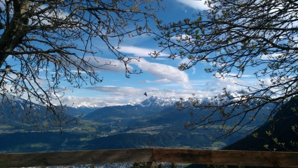 Schneebedeckte Berge unter blauem Himmel, eingerahmt von Baumzweigen und einem Holzzaun in der Nähe der Höttinger Alm, mit einem fliegenden Vogel in der Mitte.