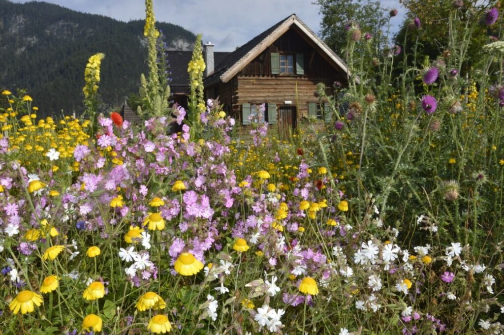Museum Holzerhütte in Scharnitz, Bildnachweis: H. Blaha