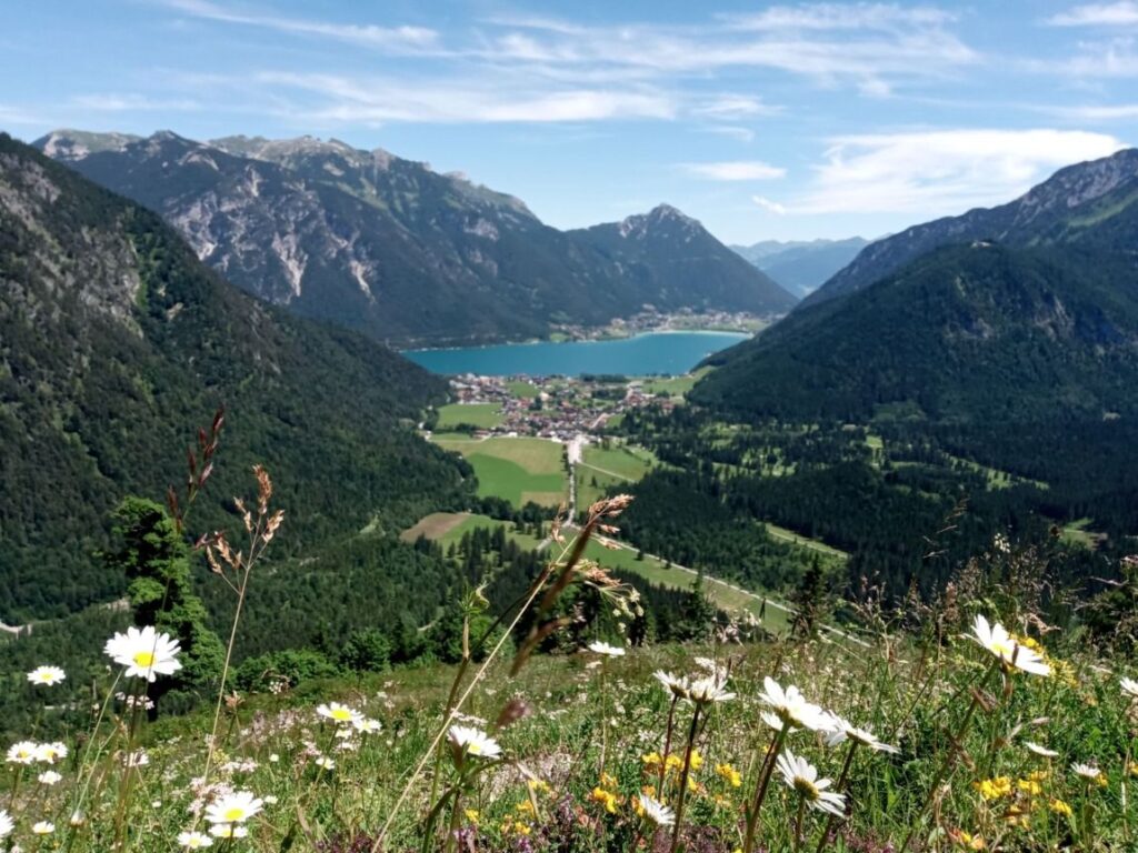Blick auf das Feilkopf-Gebirgstal mit Wildblumen im Vordergrund, einem blauen See in der mittleren Entfernung und Bergen unter einem teilweise bewölkten Himmel.