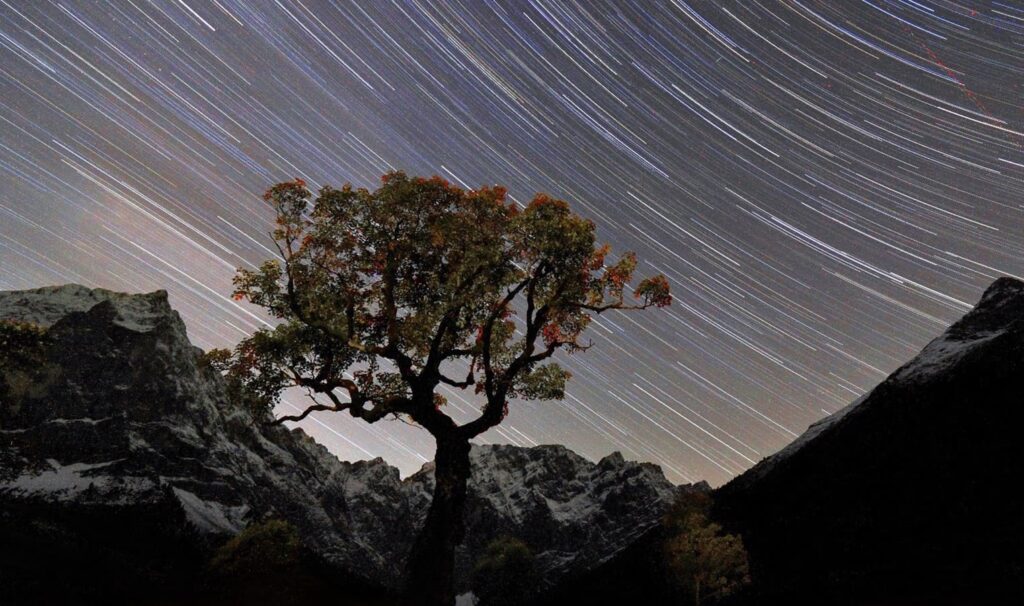 Ein einsamer Baum steht in einer nächtlichen Gebirgslandschaft, unter einem atemberaubenden Sternenhimmel, an dem Sternenspuren kreisförmige Muster in den Himmel zeichnen.