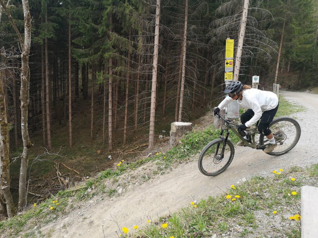 Eine Person mit Helm und weißer Jacke fährt mit dem Mountainbike auf einem Schotterweg bergauf in Richtung der malerischen Arzler Alm, vorbei an einem Wald und leuchtend gelben Wildblumen.