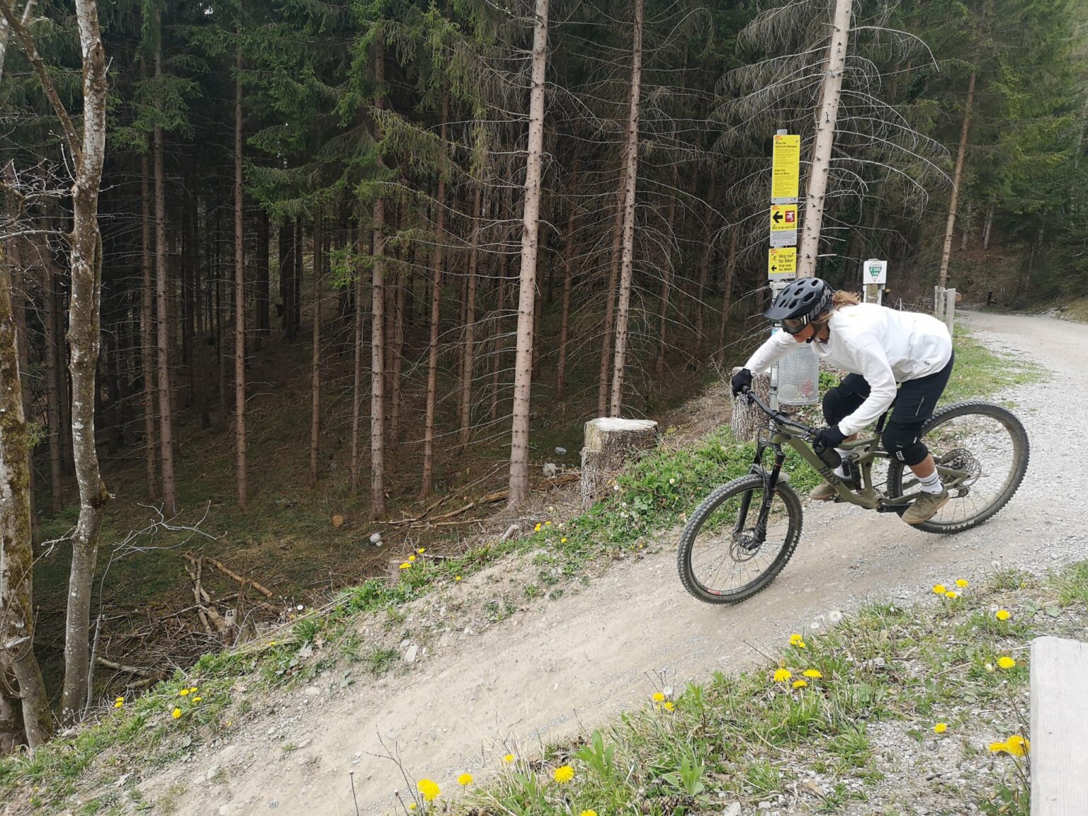 Eine Person mit Helm und weißer Jacke fährt mit dem Mountainbike auf einem Schotterweg bergauf in Richtung der malerischen Arzler Alm, vorbei an einem Wald und leuchtend gelben Wildblumen.