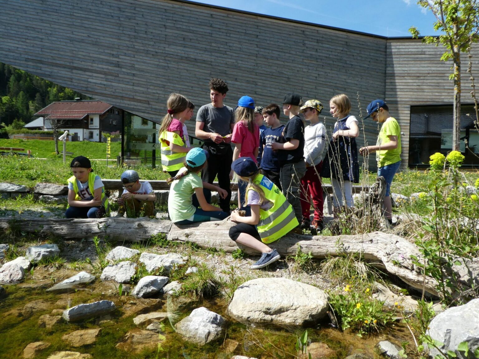 Blühende Silberwurz vor dem Naturpark-Infozentrum in Scharnitz, einem Hort der Artenvielfalt.