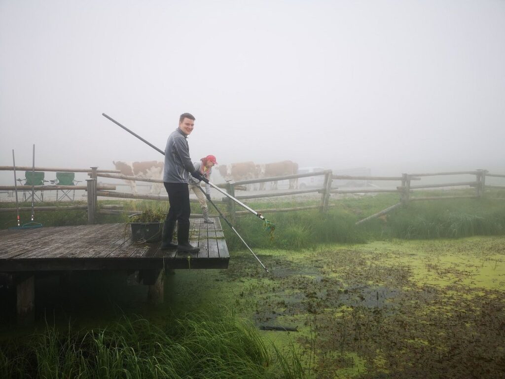 Ein Mann und ein Kind stehen auf einer hölzernen Plattform mit Angelruten neben dem Walderalmteich mit grünen Algen; hinter einem Zaun im nebligen Hintergrund sind Kühe zu sehen.