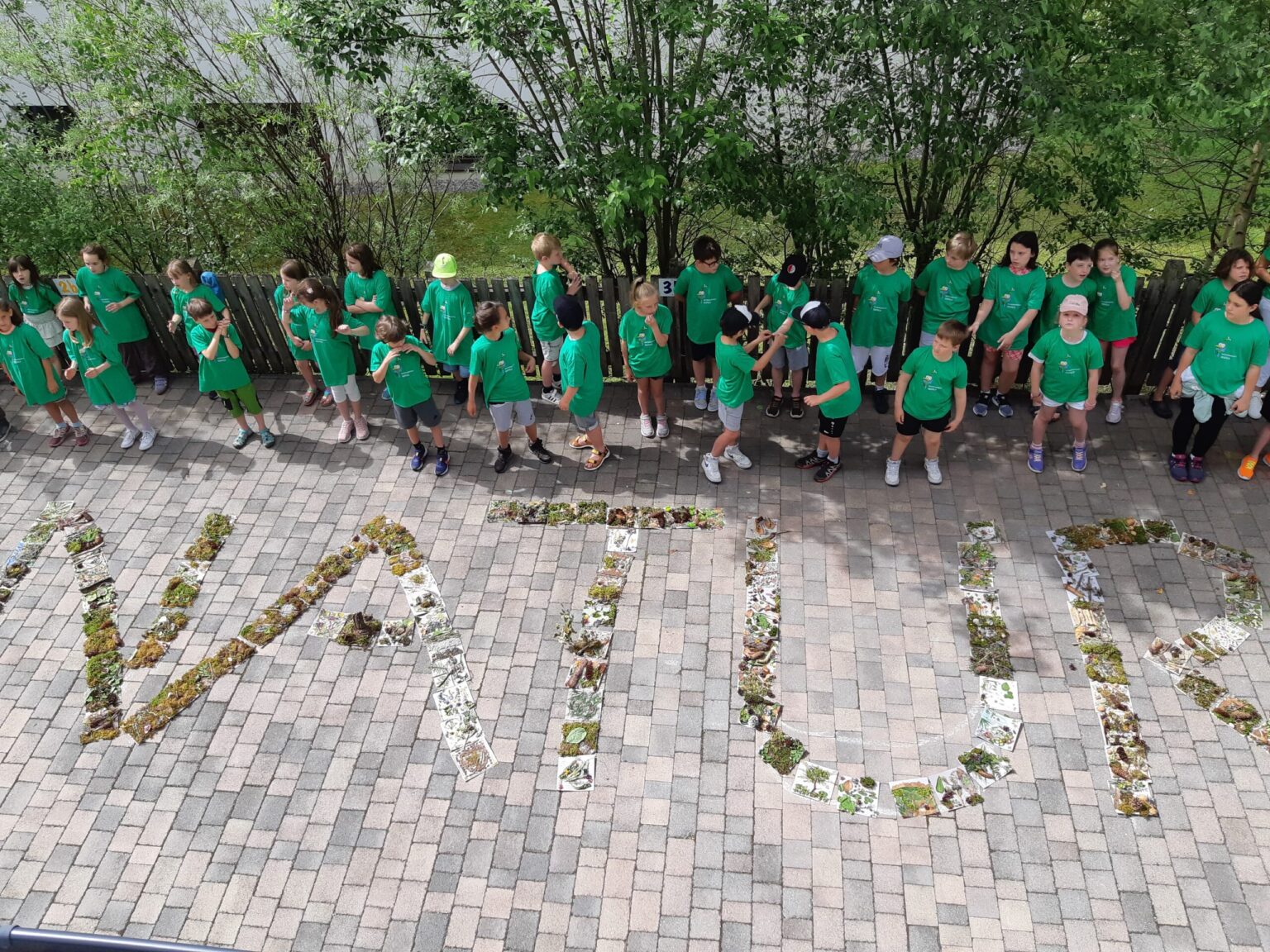 Eine Gruppe von Kindern in grünen Hemden steht auf einer gepflasterten Fläche neben dem mit Blättern geschriebenen Wort "NATUR", das auf die Prädikatisierung und den prämierten Abschluss der Naturparkschulen hinweist. Bäume und Sträucher bilden den Hintergrund.