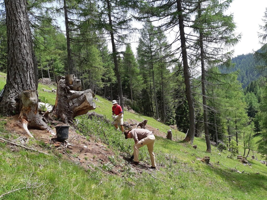 Team Karwendel Martinsbergalm