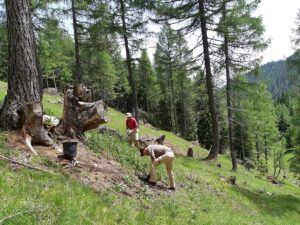 Team Karwendel Martinsbergalm