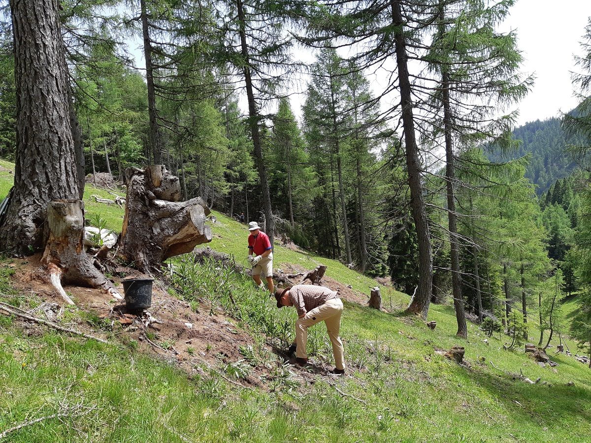 Team Karwendel Martinsbergalm