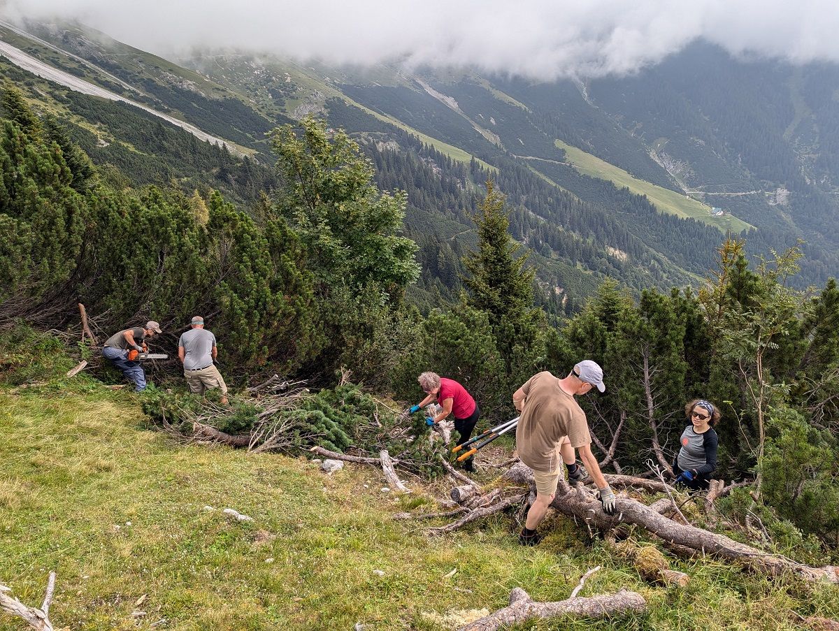 Auf der Almpflege Achselkopfalm arbeiten mehrere Personen zusammen, um umgestürzte Äste und Sträucher entlang eines steilen, grasbewachsenen Berghangs zu entfernen, der von Bäumen und nebligen Hügeln umgeben ist.