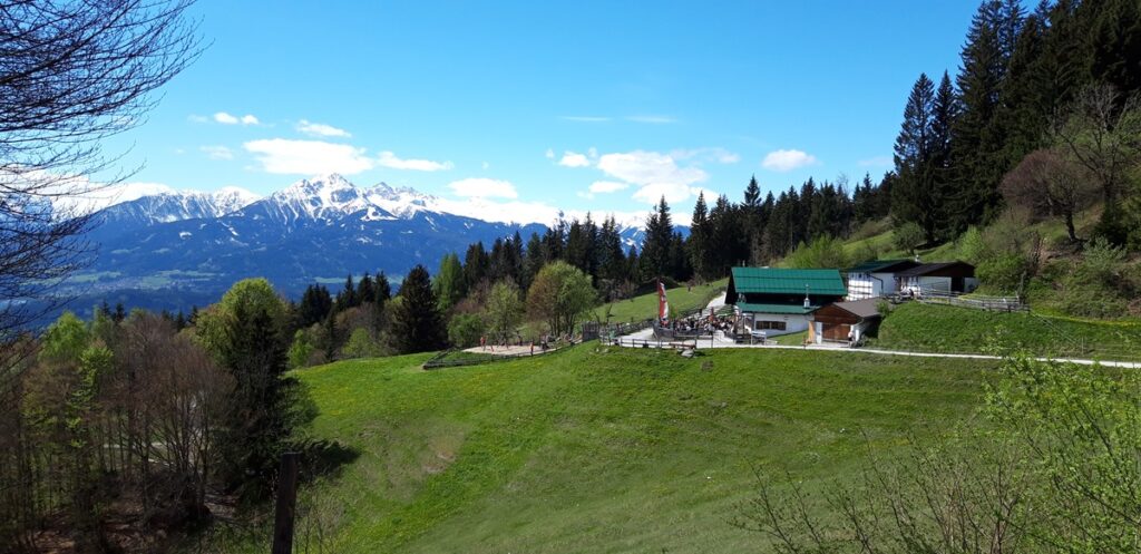 Berghütte mit begrüntem Dach und Sitzgelegenheiten im Freien auf einer grasbewachsenen Anhöhe, umgeben von Bäumen und begünstigt durch die Almpflege Arzler Alm, mit schneebedeckten Bergen im Hintergrund unter einem blauen Himmel.
