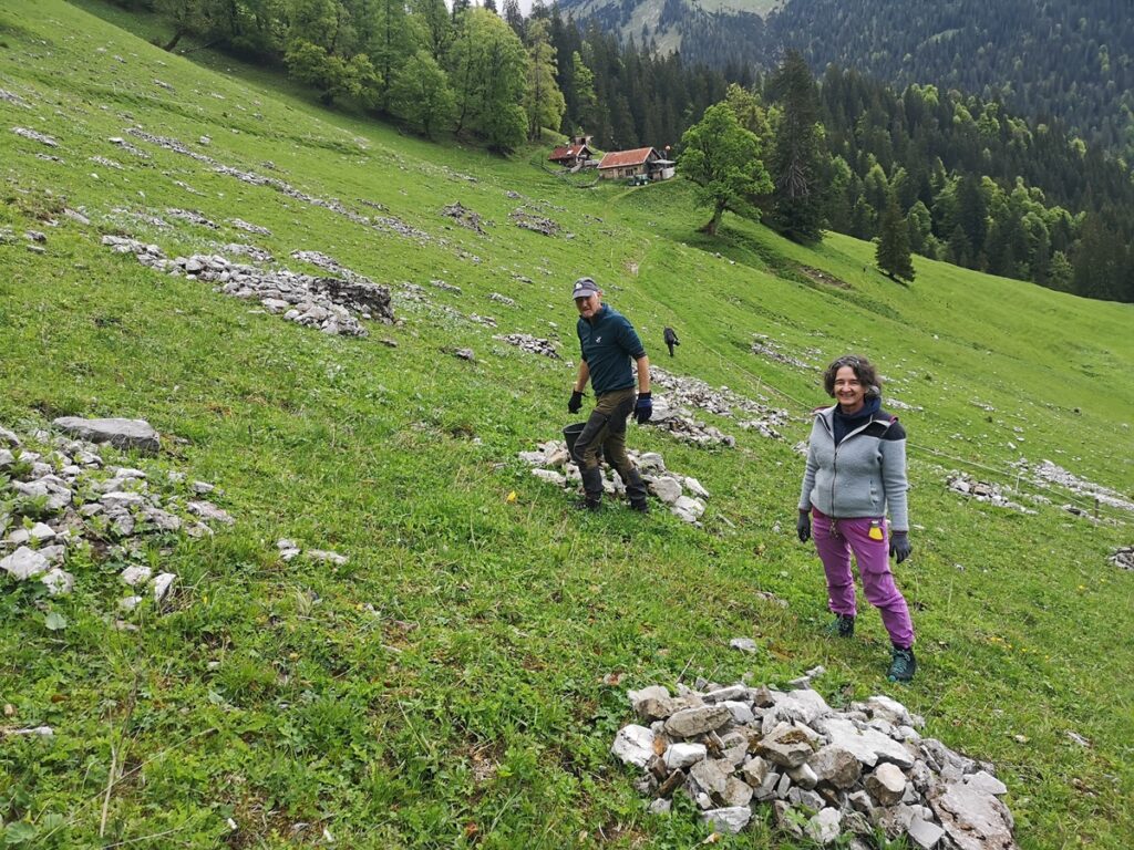 Zwei Personen stehen auf einem grasbewachsenen Hang, der von der Almpflege Hölzelstalalm bewirtschaftet wird. Im Hintergrund sind verstreute Steinhaufen, Bäume und Häuser zu sehen.