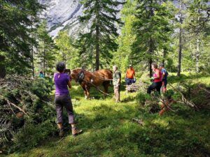 Eine Gruppe von Menschen steht in einem Wald auf der Almpflege Kastenalm mit einem Pferd, das an Ästen angeschirrt ist, umgeben von Bäumen und Bergen im Hintergrund.