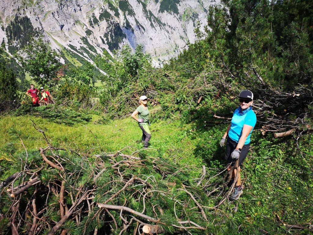 Mehrere Personen nehmen an der Almpflege auf einem grasbewachsenen Hang bei der Lalidersalm teil und räumen Äste ab, während im Hintergrund Berge und Bäume zu sehen sind.