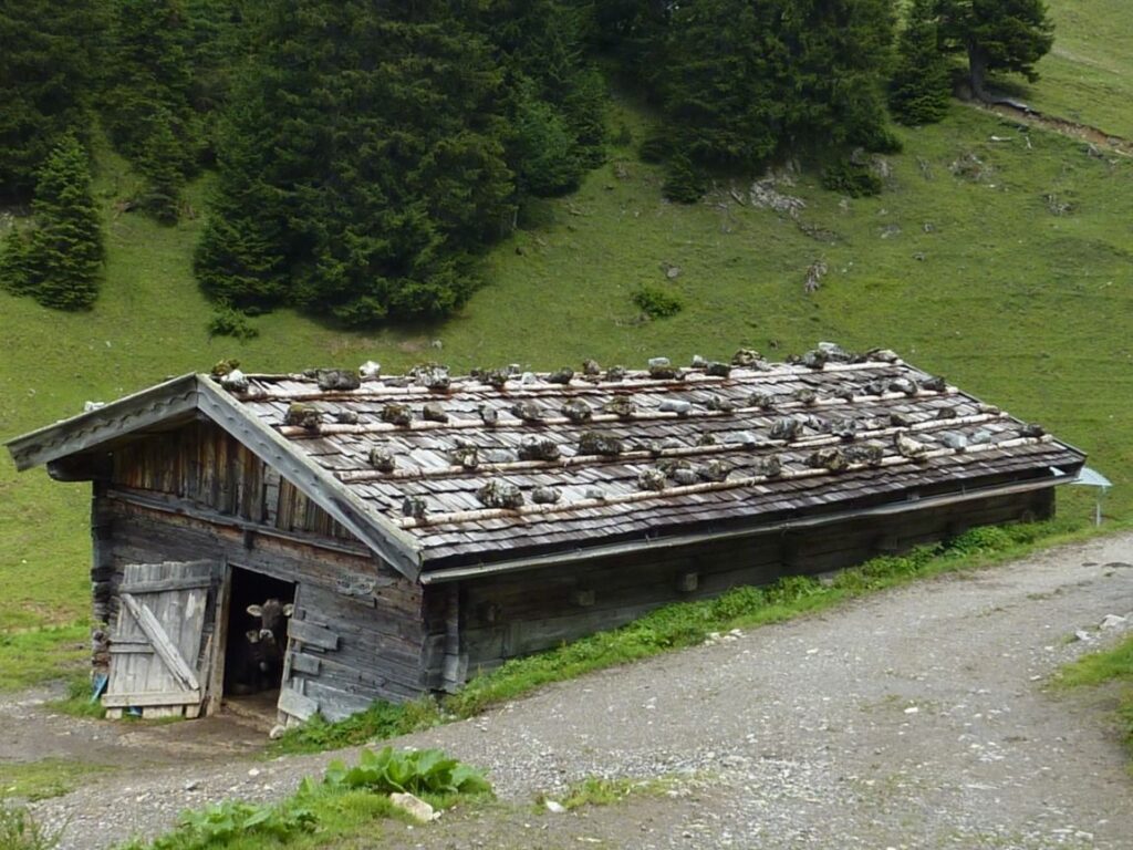 Eine Scheune mit Scheunentor steht ruhig im Tal, eingerahmt von der Aussicht auf den Zwölferkopf in der Ferne.