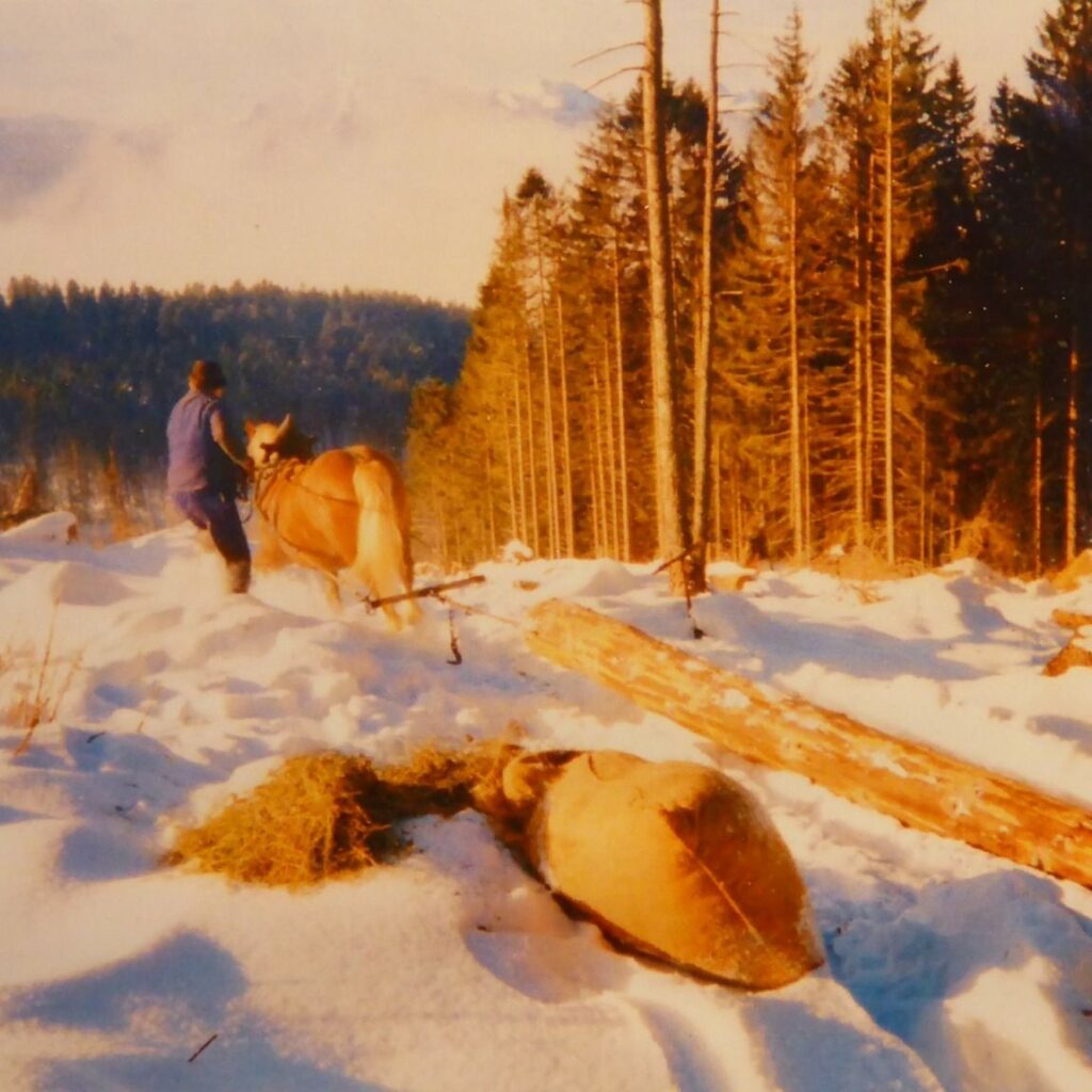 Eine Person führt ein Pferd, das einen großen Baumstamm durch eine verschneite Waldlichtung zieht; im Vordergrund liegen Heu und ein Sack auf dem Schnee, während schwache Streifen von Sonnenlicht durch die Bäume fallen.