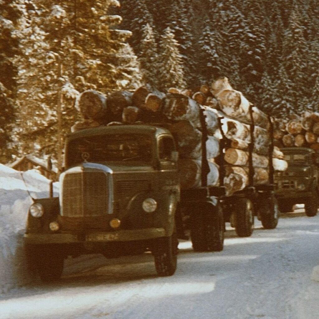 Zwei grüne Lastwagen, die mit großen Baumstämmen beladen sind, fahren auf einer schneebedeckten Straße durch eine bewaldete, bergige Gegend.
