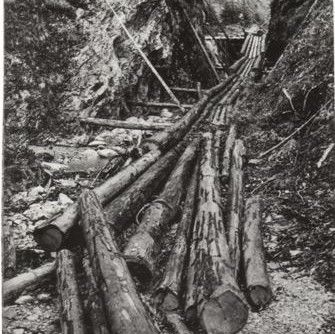 Mehrere lange Holzstämme sind in einem schmalen, felsigen Graben im Freien gestapelt, an dessen Ende eine Holzkonstruktion zu sehen ist.
