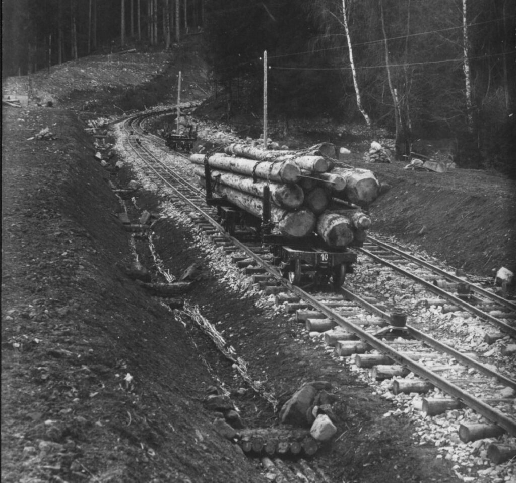 Ein mit großen Baumstämmen beladener Wagen der Bremsbergbahn fährt auf einem Gleis durch ein Waldgebiet mit Lichtungen und verstreuten Felsen.