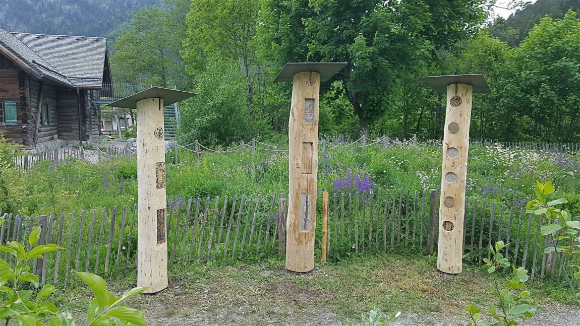 Drei hohe hölzerne Insektenhotels mit Metalldächern stehen in einer Gartenanlage, umgeben von Grün, einem Holzzaun und einem rustikalen Gebäude - ein außergewöhnliches Hotelprojekt in Scharnitz für die kleinsten Gäste der Natur.