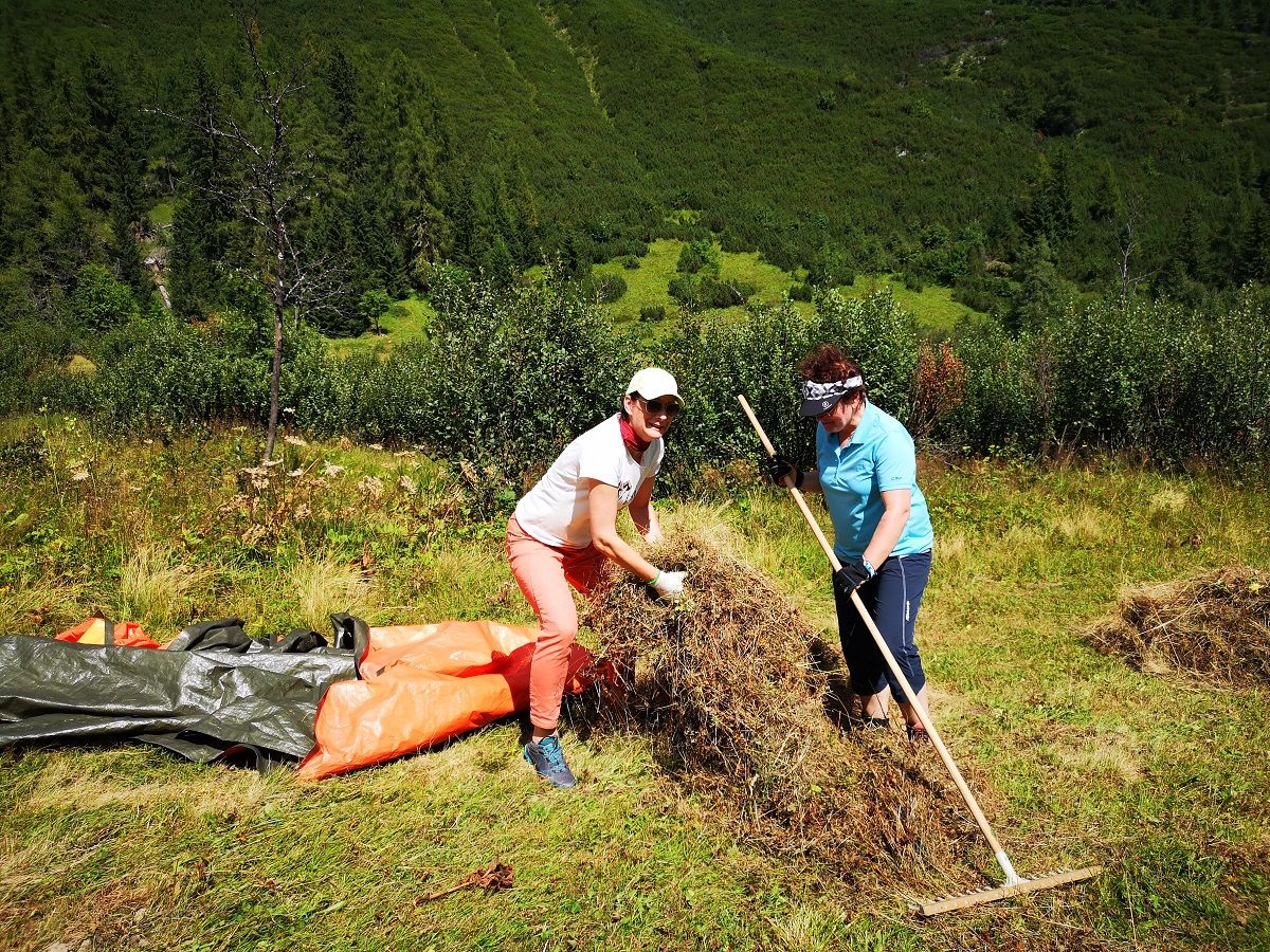 Zwei Personen sammeln und harken Heu auf einem grasbewachsenen Tiroler Feld mit Bäumen und dem Karwendelgebirge im Hintergrund; in der Nähe liegt eine Plane auf dem Boden.