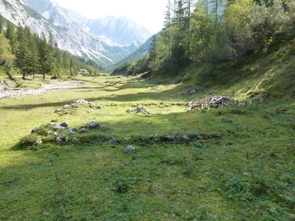Grasbewachsenes Tal mit verstreuten Felsen und schwachen Spuren im Gelände, umgeben von Kiefern und Bergen im Hintergrund bei klarem Tageslicht.