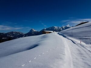 Eine kleine Holzhütte steht auf einem schneebedeckten Hügel mit Bergen im Hintergrund, während Tierspuren die verschneite Landschaft unter einem klaren blauen Himmel durchziehen - die perfekte Kulisse für einen Naturpark-Ranger, der die Wunder der Natur erforscht.
