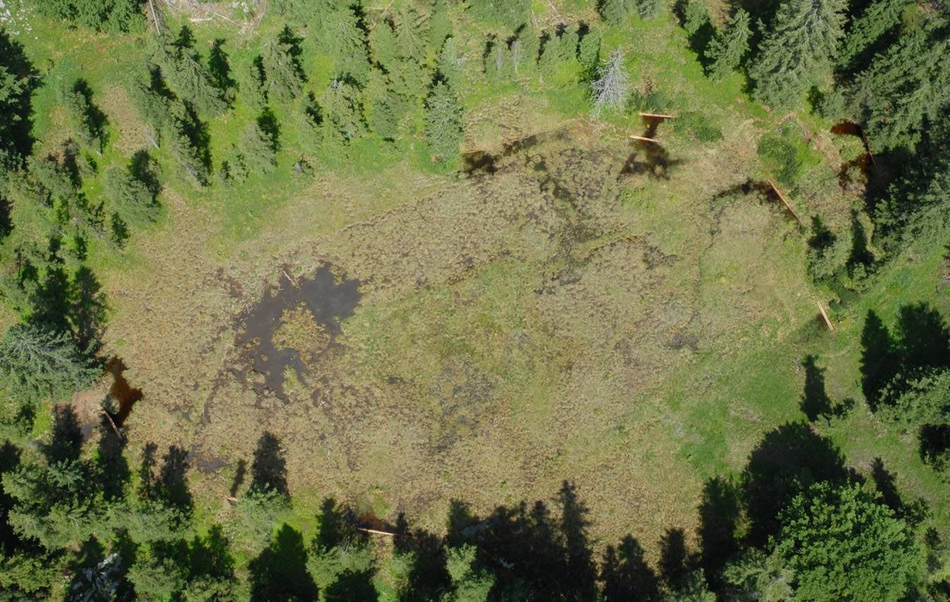 Luftaufnahme des Halslkopfmoores, eines flachen, unregelmäßig geformten Teiches in der Karwendelregion, der von dichten grünen Bäumen umgeben ist und in dessen Mitte sich Wasserflächen und holozäne Vegetation befinden.