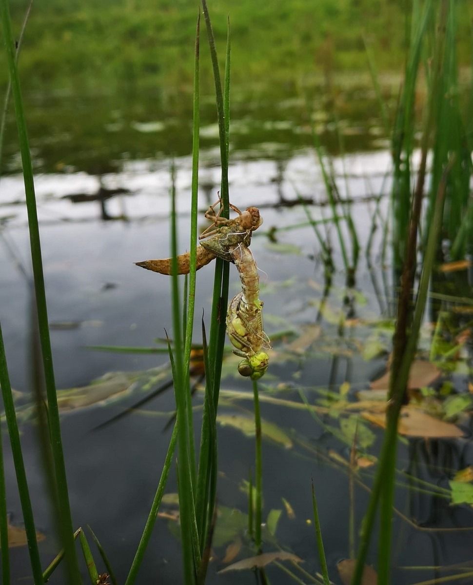 Reinigung Walderalmteiche Team Karwendel