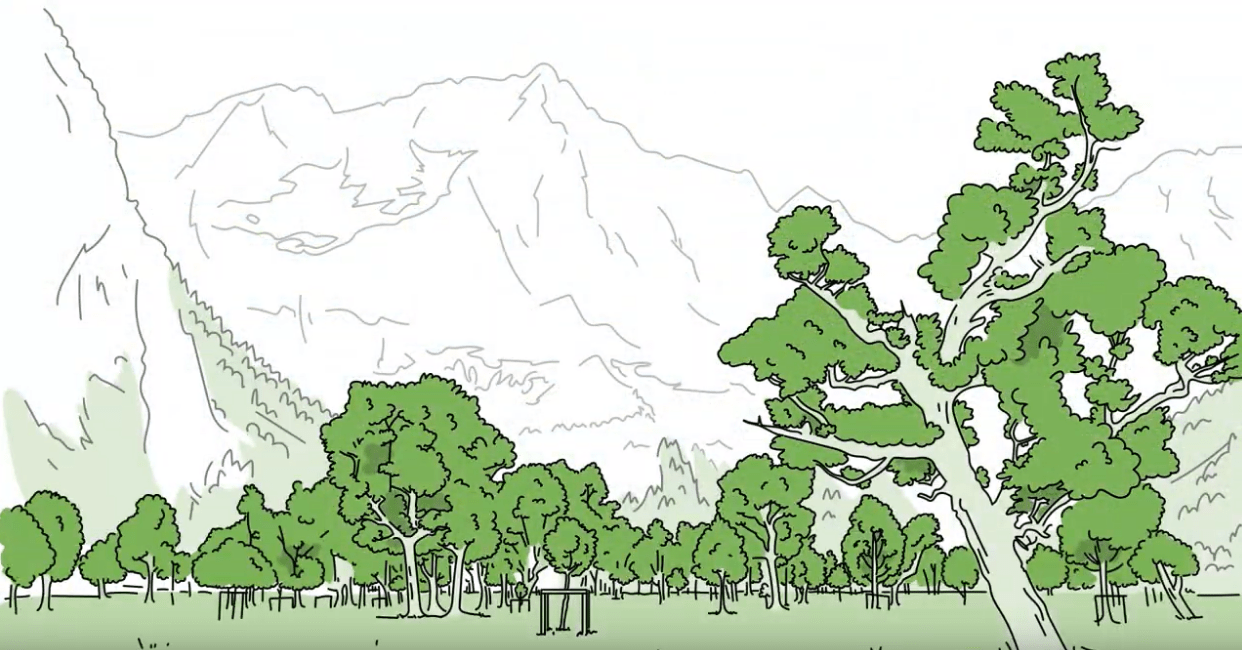 Erklärvideo Großer Ahornboden