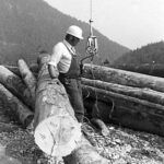 Ein Arbeiter mit Schutzhelm steht neben gestapelten Baumstämmen und bedient Geräte in einem bewaldeten Berggebiet.