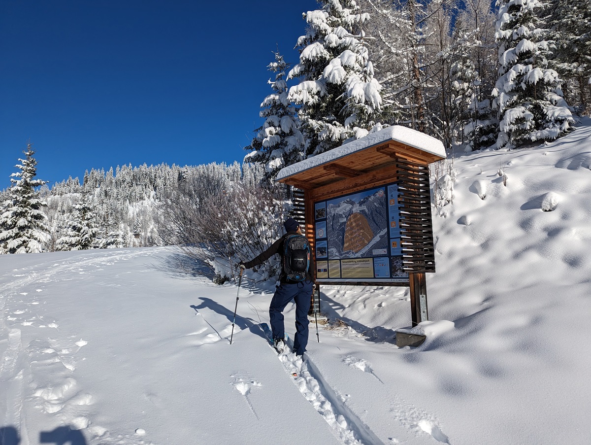 Eine Person auf Skiern liest ein großes Informationsschild entlang einer verschneiten Skitourenstrecke, umgeben von schneebedeckten Bäumen unter einem klaren blauen Himmel.
