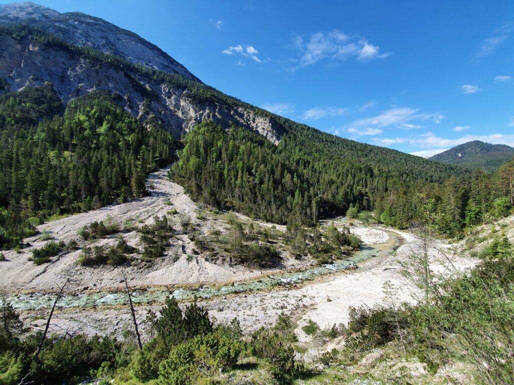Naturwaldreservat Spirken Hinterautal
