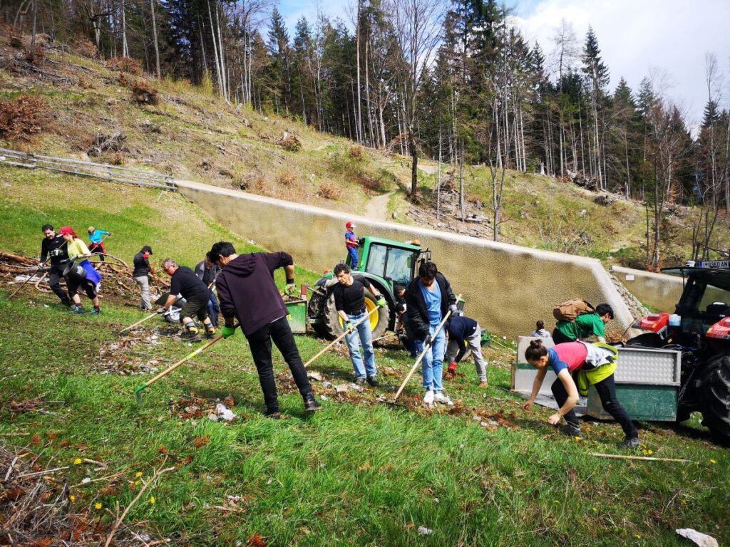 Eine Gruppe von Personen nimmt an der Almpflege Arzler Alm teil und säubert einen grasbewachsenen Hang in der Nähe eines Traktors von Müll und Unrat, mit einem Wald im Hintergrund.