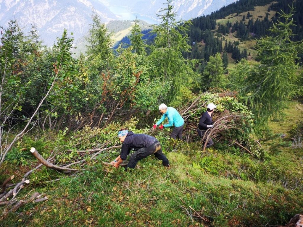 Team Karwendel