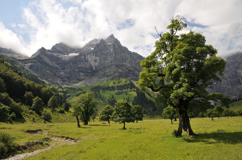 Eine grasbewachsene Wiese mit vereinzelten Bäumen liegt vor hoch aufragenden Felsen unter einem teilweise bewölkten Himmel und ist ein idealer Ort für eine Enger Grund Wanderung.