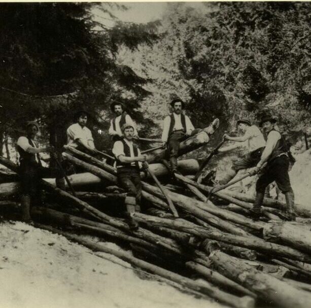 Sieben Männer in Arbeitskleidung stehen oder sitzen auf einem Stapel Baumstämme in einem Waldgebiet und posieren für ein Foto; die Umgebung lässt auf Holzfäller- oder Forstarbeiten schließen.