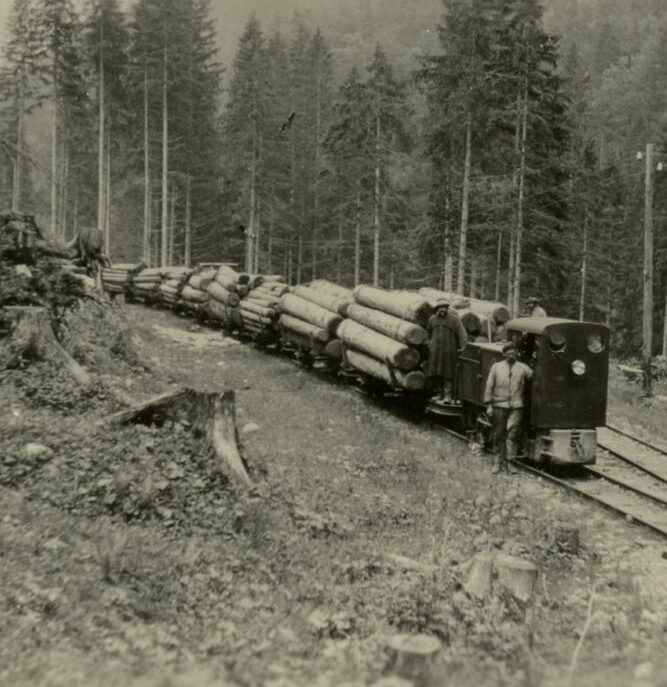 Eine kleine Lokomotive zieht mehrere mit großen Baumstämmen beladene Waggons durch ein Waldgebiet; ein paar Menschen stehen neben dem Zug.