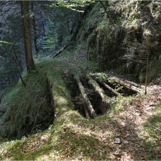 Eine rustikale Brücke aus mehreren Baumstämmen führt über eine flache Lücke und verbindet versteckte Wege inmitten von Bäumen und dichter Vegetation im Waldgebiet.