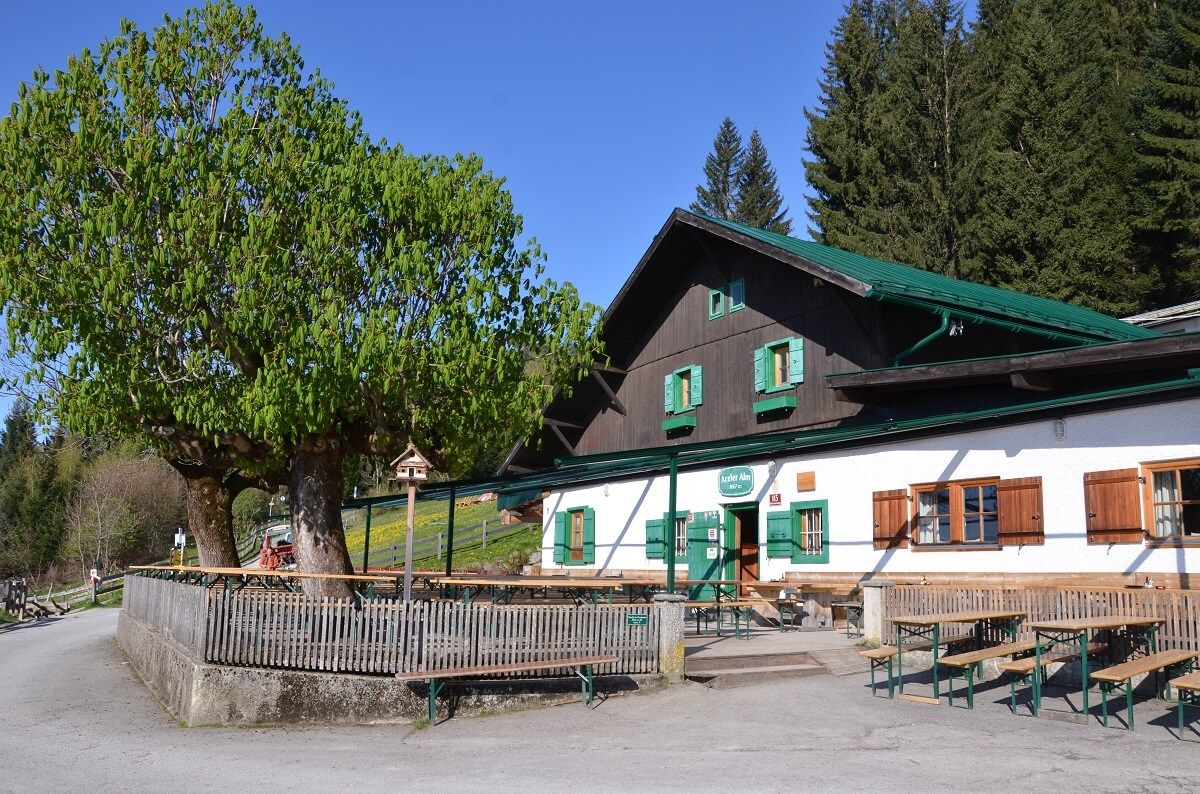 almpflege arzler alm 2016 13