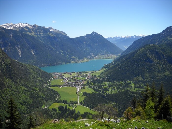 Feilkopf