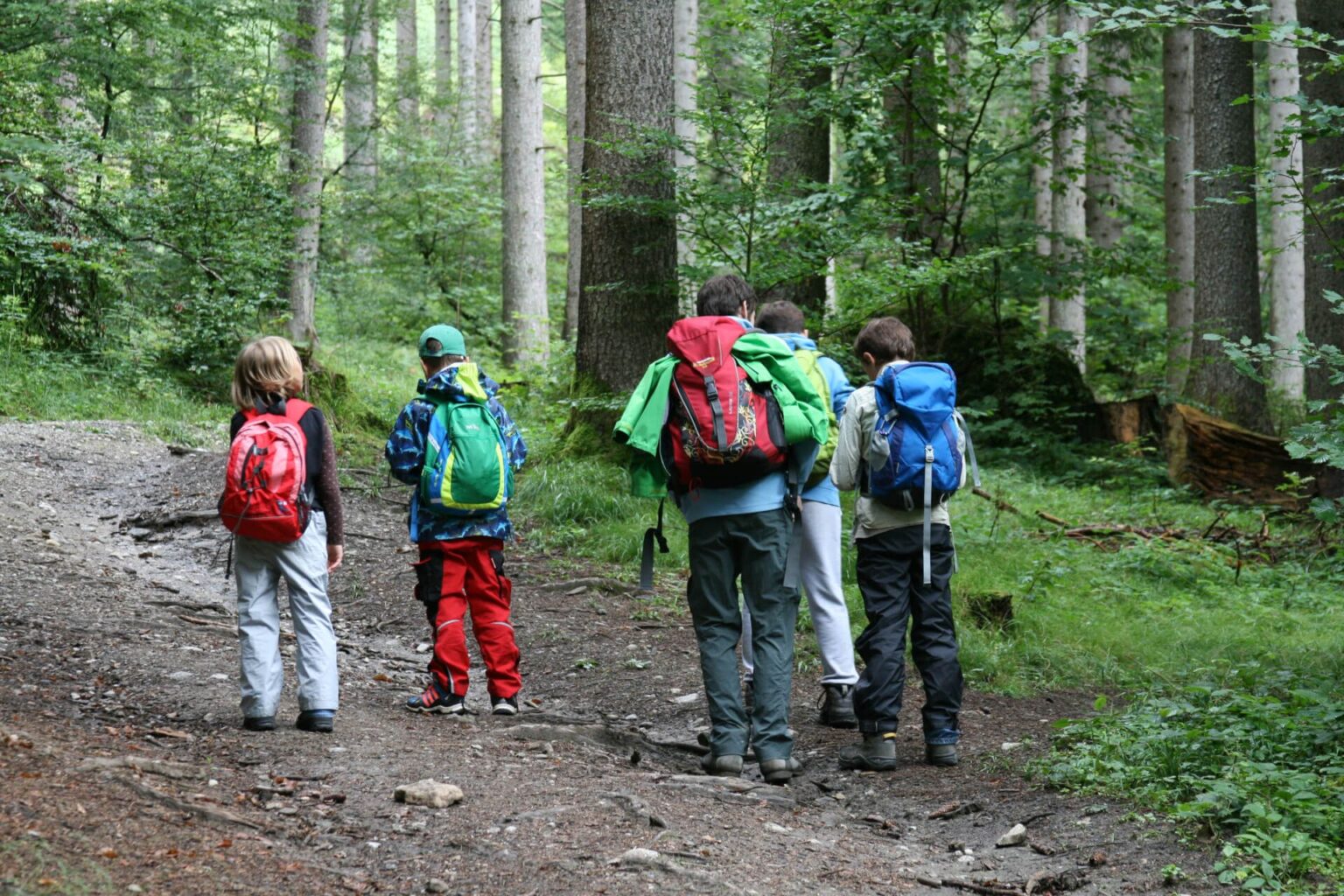 5 Kinder orientieren sich im Wald mit Karte und Kompaß beim Junior Ranger Modul Orientierung.