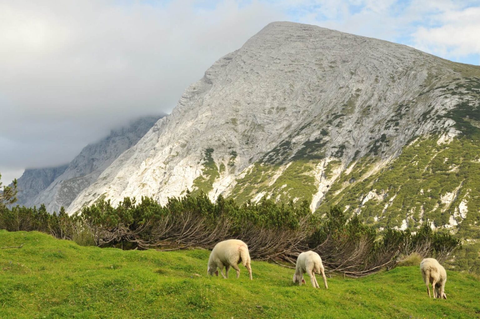 landschaftsschutzgebiet martinswand solstein reither spitze