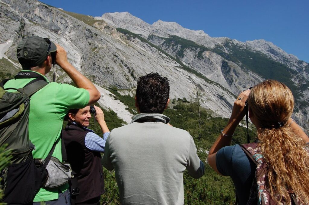 Gutschein Nature Watch Tour Feilkopf am Achensee