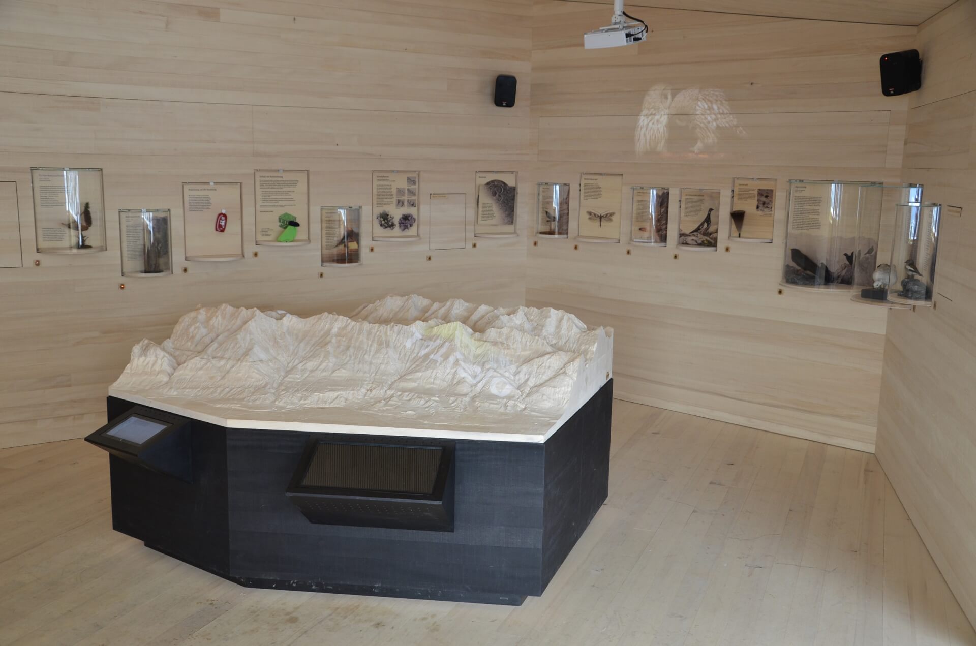 naturraum karwendel auf der umbrueggler alm 5