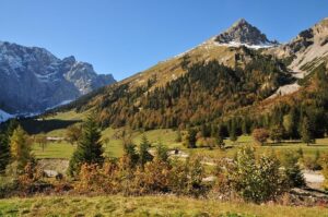 naturwaldreservat engalm 2