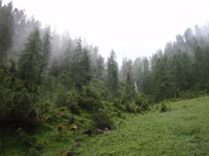 naturwaldreservat gumpenkopf 3