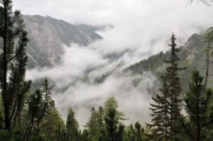 naturwaldreservat weites tal